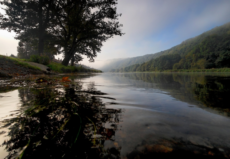 070923 MEUSE 14929 01P.jpg